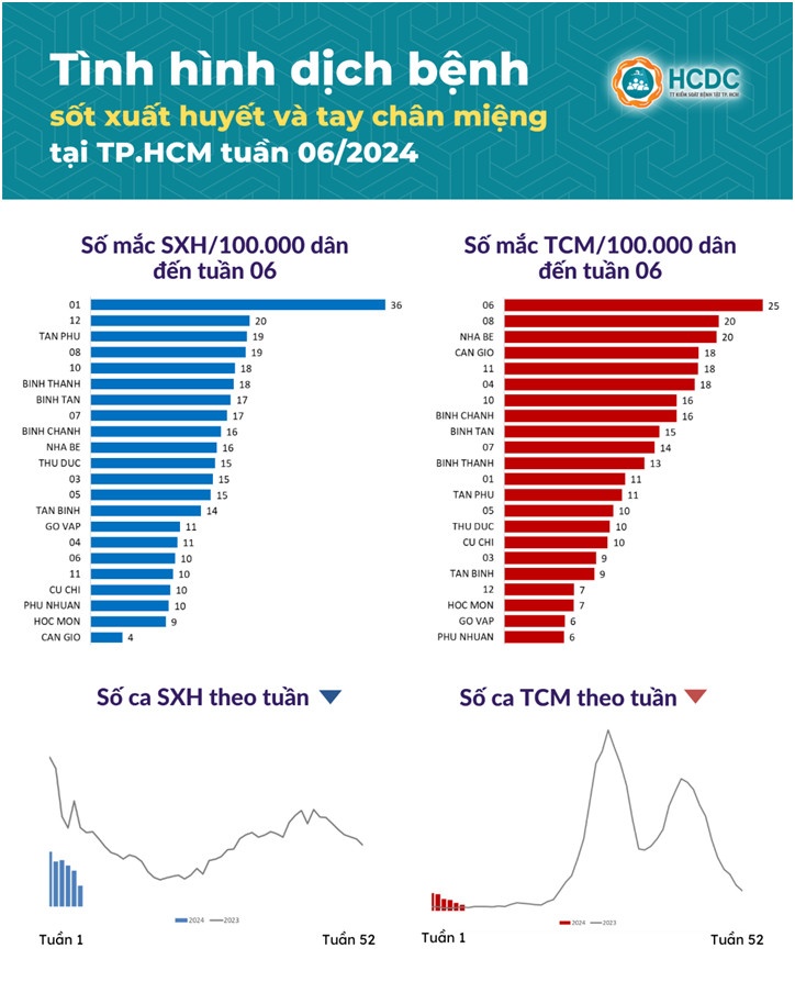 sot xuat huyet o TP.HCM anh 2