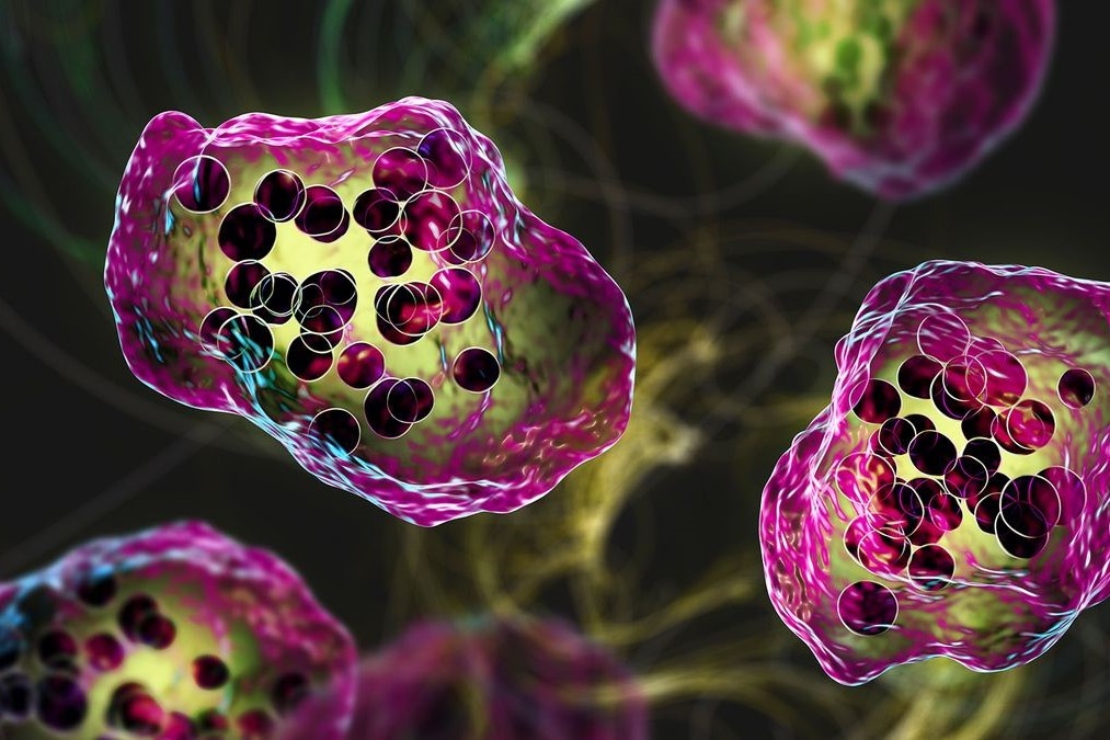 Can benh de lay lan bung len tro lai, My phat canh bao hinh anh