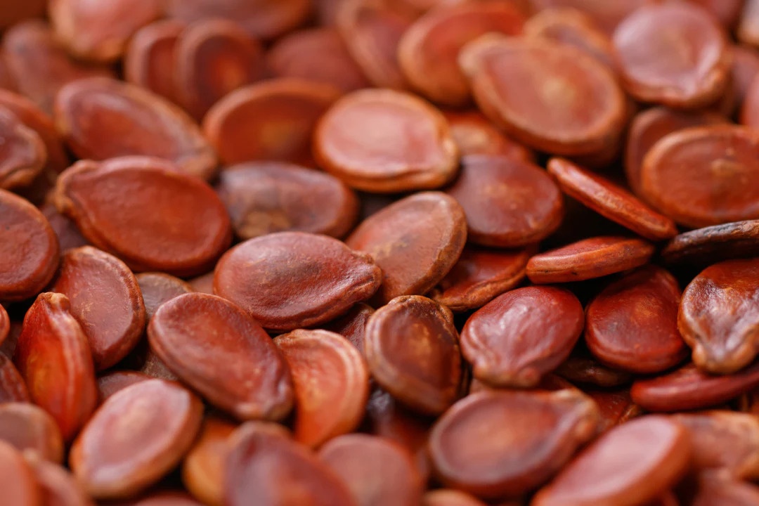 hat dinh duong anh 1