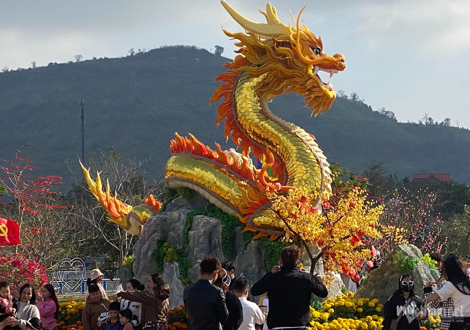 check-in linh vat rong anh 1