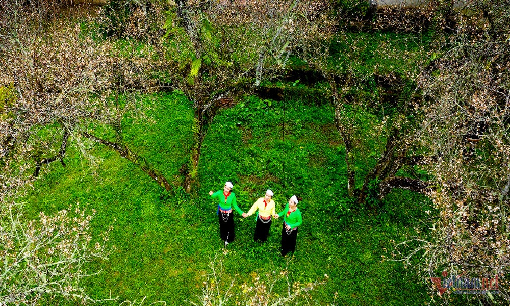 rung mo o cuc phuong anh 1