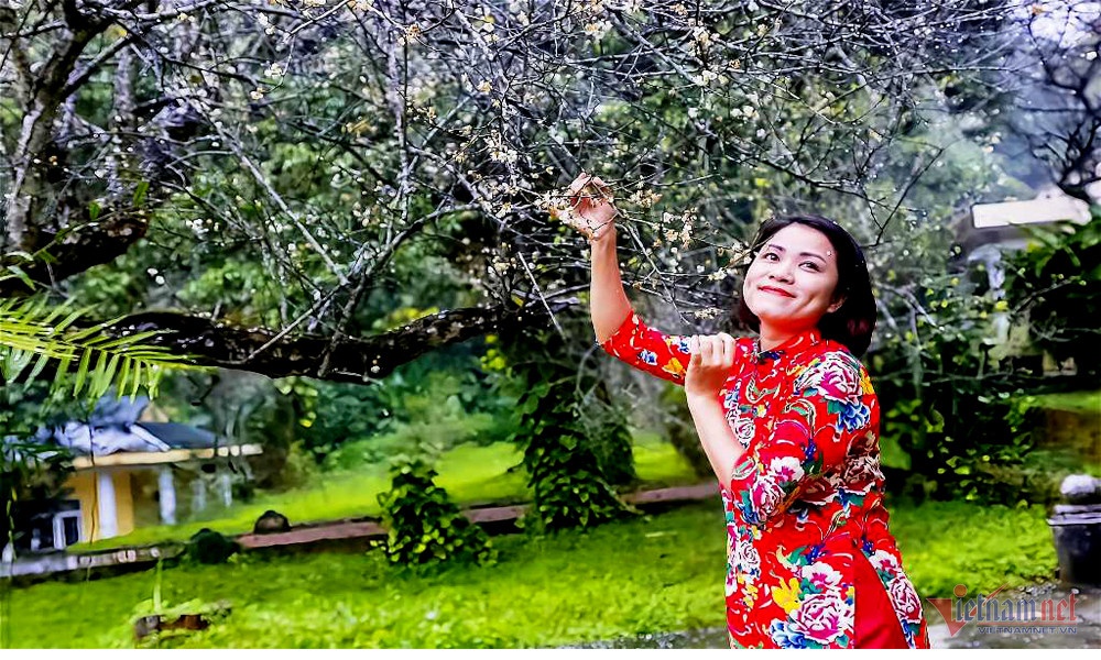 rung mo o cuc phuong anh 5