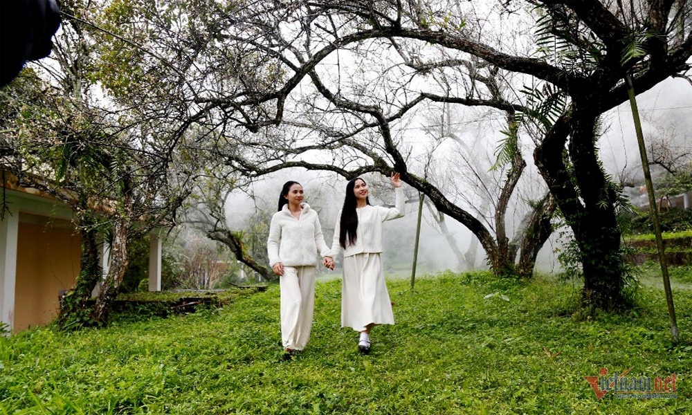 rung mo o cuc phuong anh 6