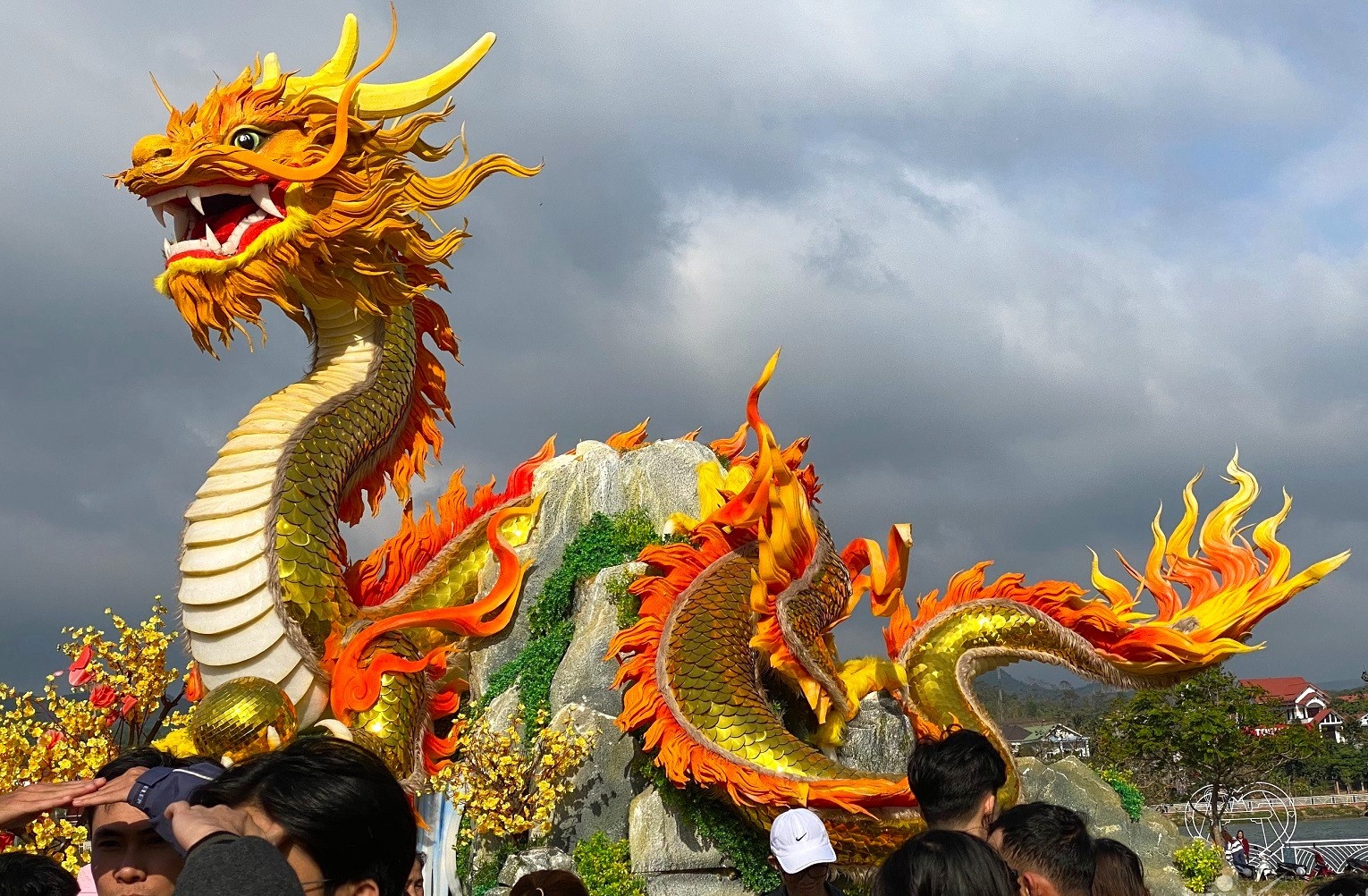 Du khach vuot deo check-in linh vat rong 'noi dinh noi dam' hinh anh
