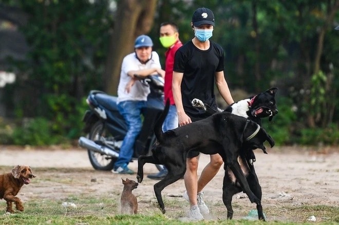 TP.HCM de xuat nuoi cho meo phai dang ky, gan microchip hinh anh