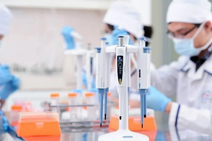 Thay em gai khong giong bo, chi am tham xet nghiem ADN hinh anh