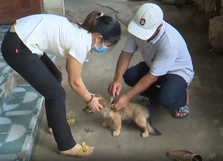 dich benh o dong nai anh 1