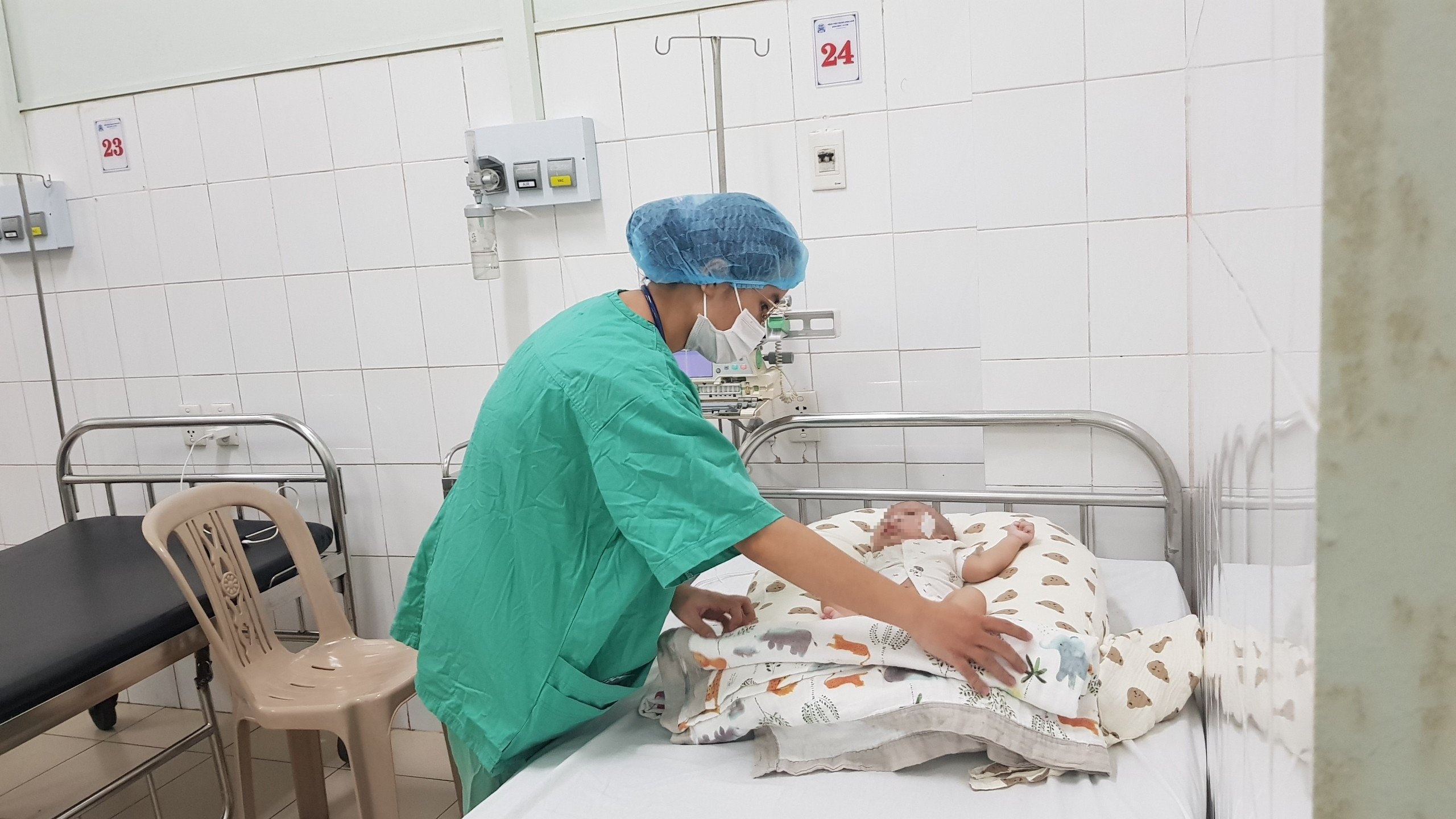 Sau hon 10 nam, benh ho ga xuat hien tro lai o Thua Thien Hue hinh anh