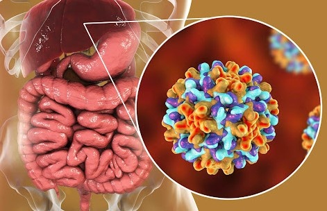 Viem gan B lay truyen the nao? hinh anh