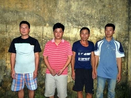 Soi choi ga hon tram trieu bi triet pha hinh anh