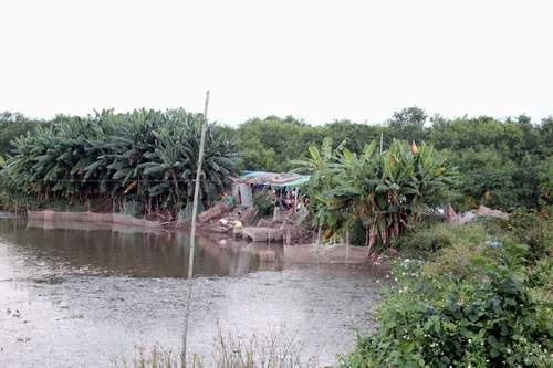 Xet xu UBND huyen Tien Lang trong vu Doan Van Vuon hinh anh