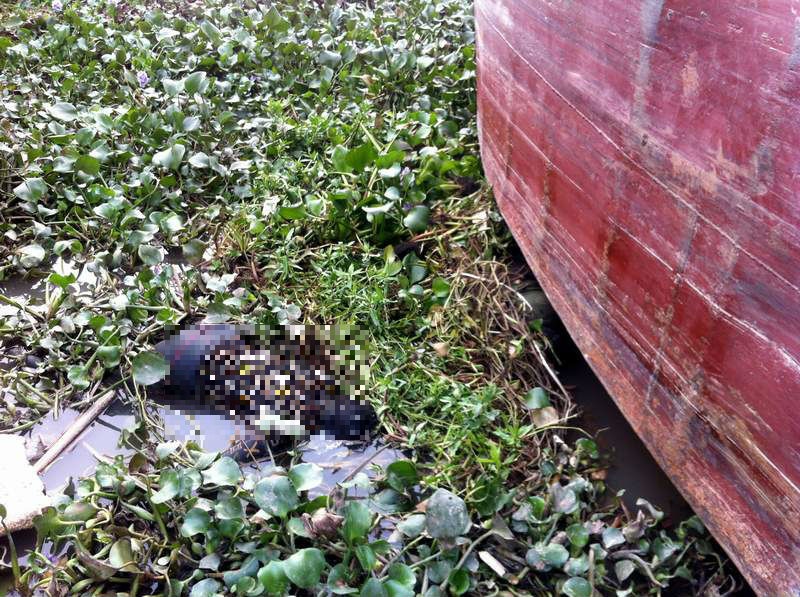 Ke hoach tu tu cua cap vo chong buoc tay nhau nhay song hinh anh