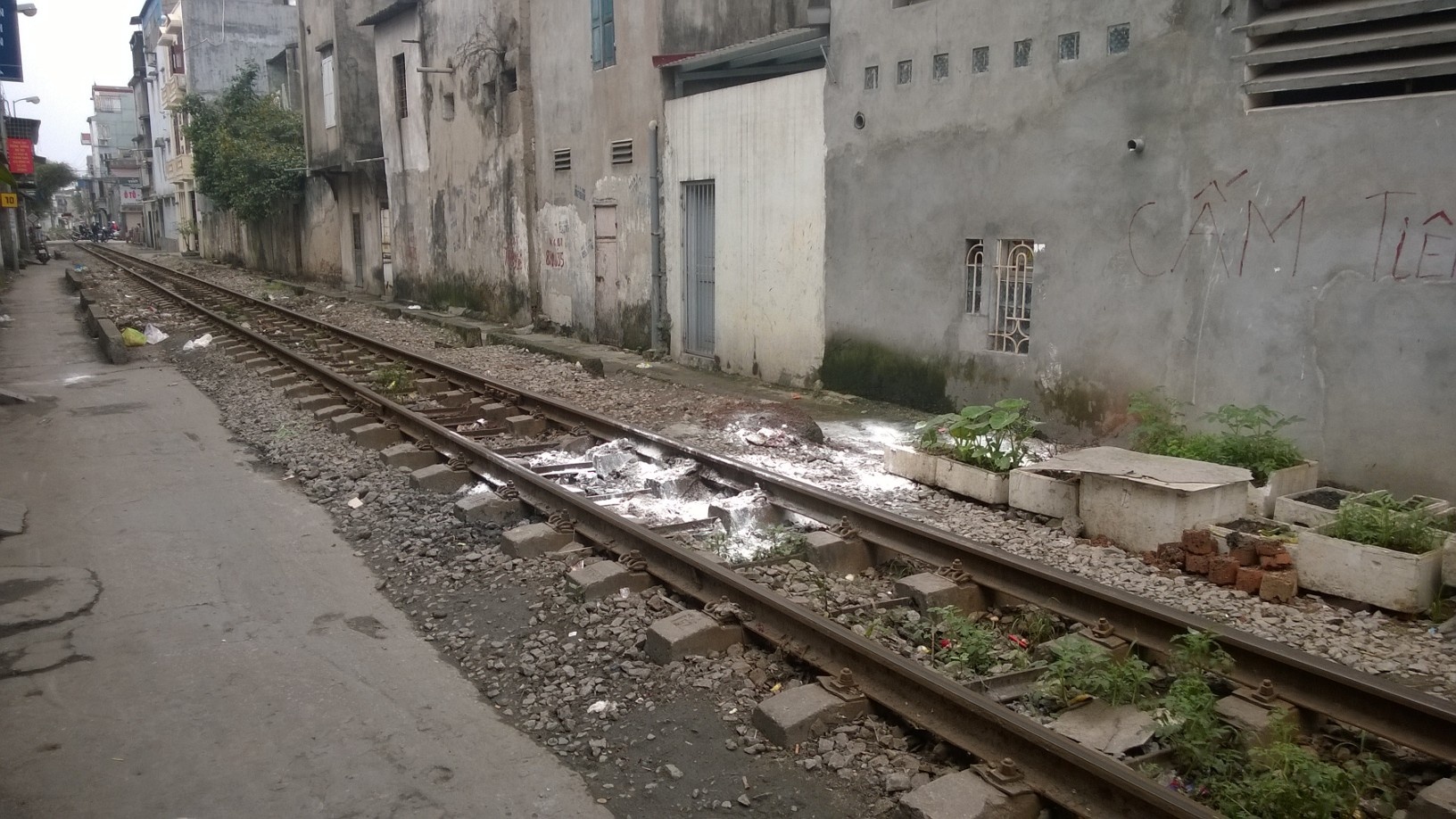 Tau hoa can dut lia than the nam thanh nien hinh anh