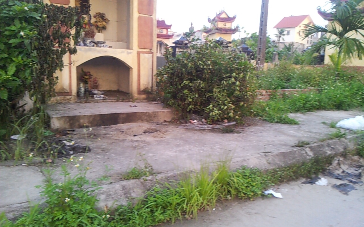 Cu ong tu thieu sau khi vieng mo me hinh anh