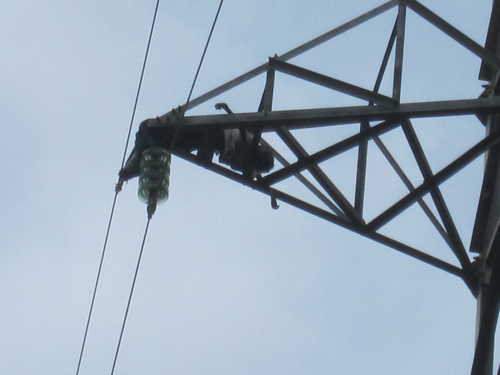 Phat hien thi the chay den tren cot dien cao the hinh anh