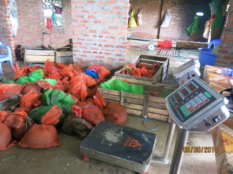 Cong nghe tang can te te bi canh sat phat giac hinh anh