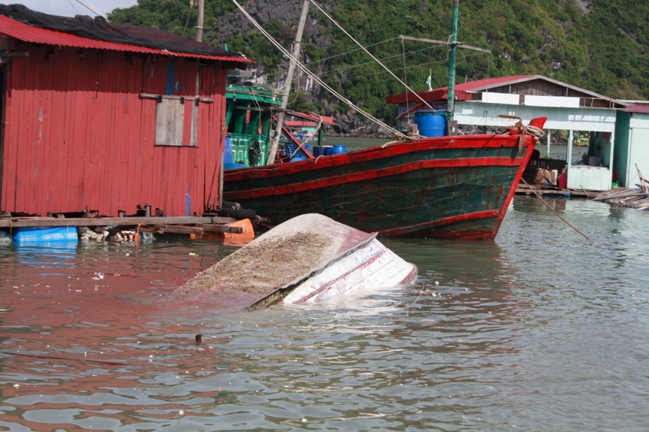 7 tau Trung Quoc xin tranh tru bao tai Hai Phong hinh anh
