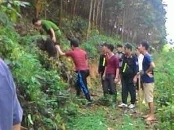 Nghi can ma tuy cay cua xe thung tron thoat hinh anh