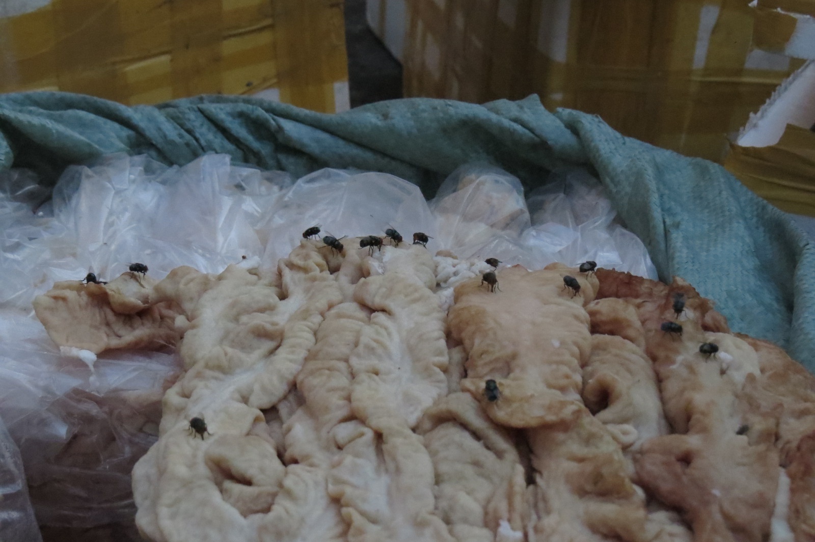 Xe tai cho 10 tan noi tang thoi di tieu thu bi bat hinh anh