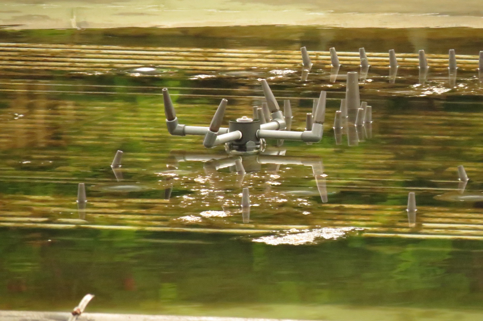 Dan nhac nuoc 200 ty anh 2