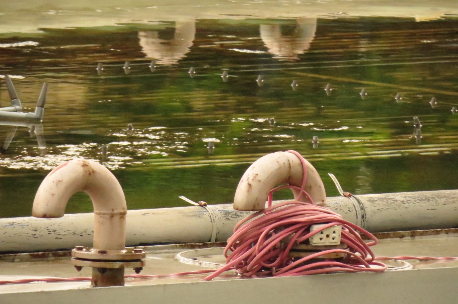 Dan nhac nuoc 200 ty anh 4