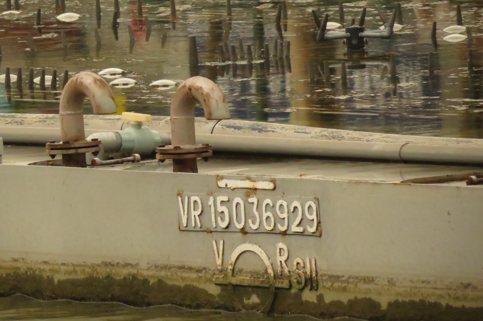 Dan nhac nuoc 200 ty anh 5