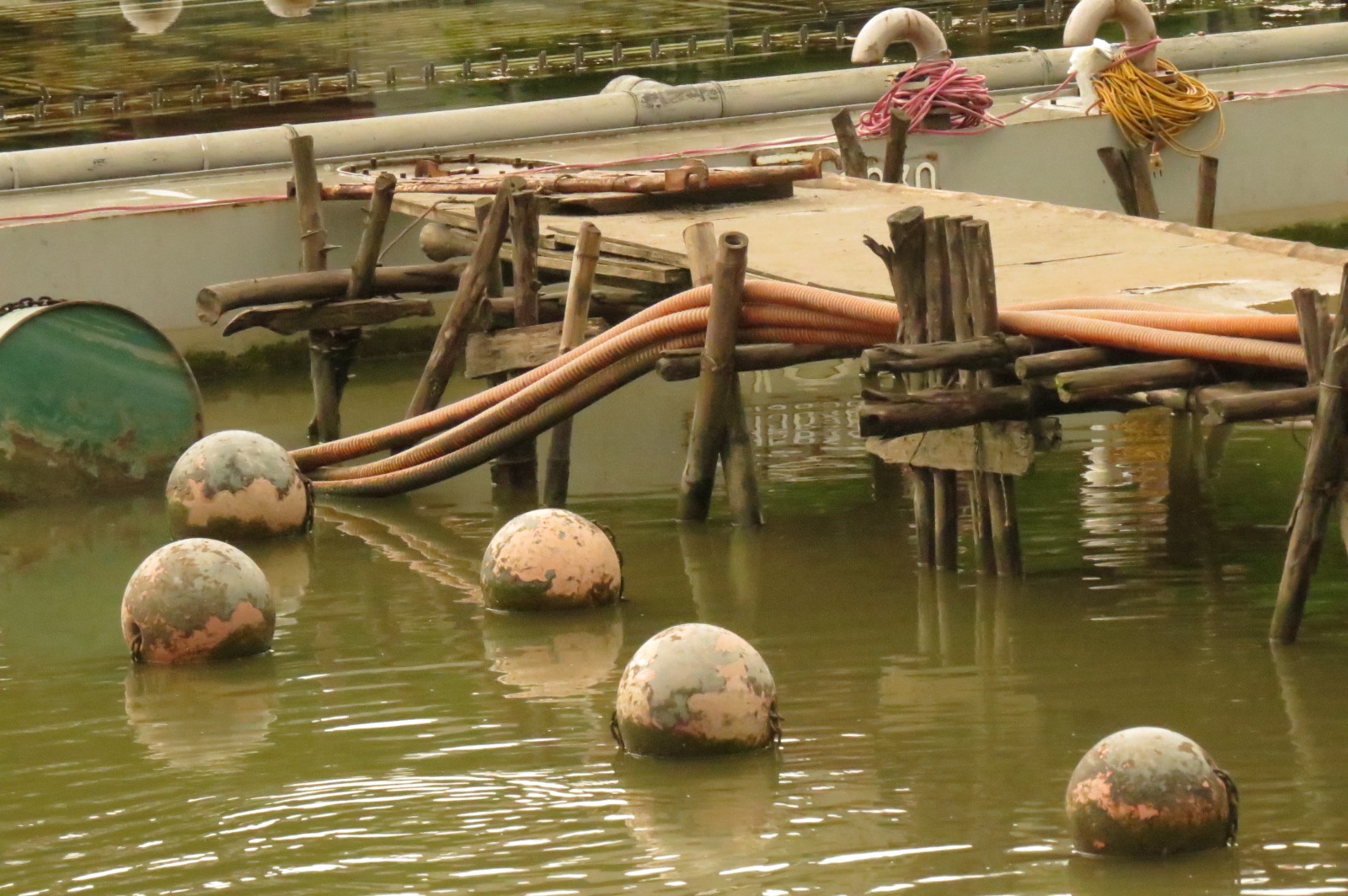 Dan nhac nuoc 200 ty khien cuu bi thu bi xem xet ky luat hinh anh