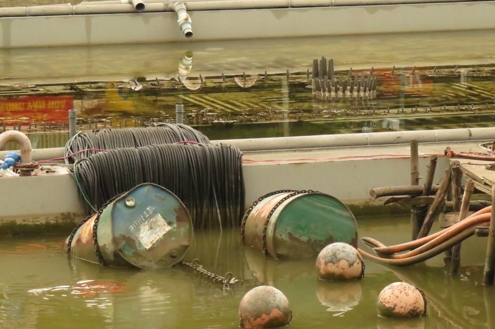 Dan nhac nuoc 200 ty anh 8