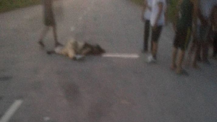 Hai vu tai nan cung dia diem, 3 nguoi chet, 2 nguy kich hinh anh