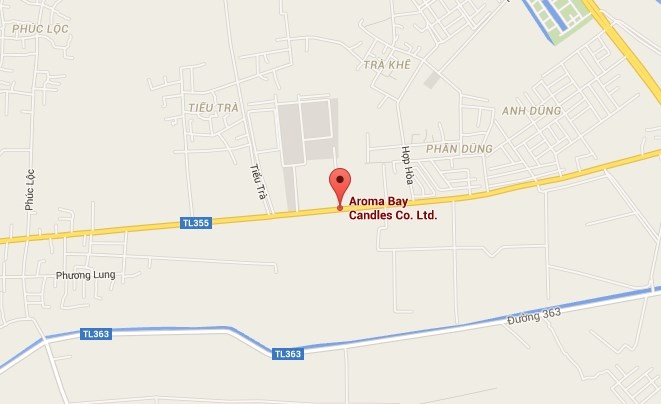 chay du doi tai xuong anh 2