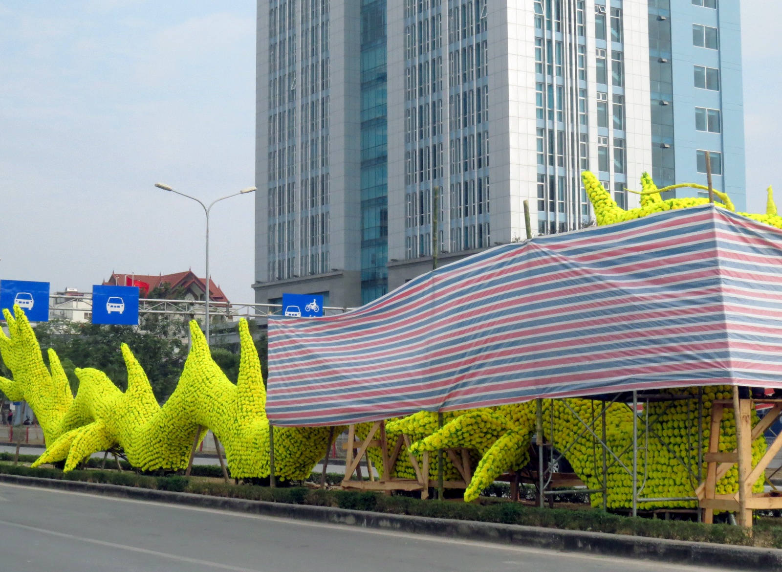 chinh sua dau rong Hai Phong anh 2