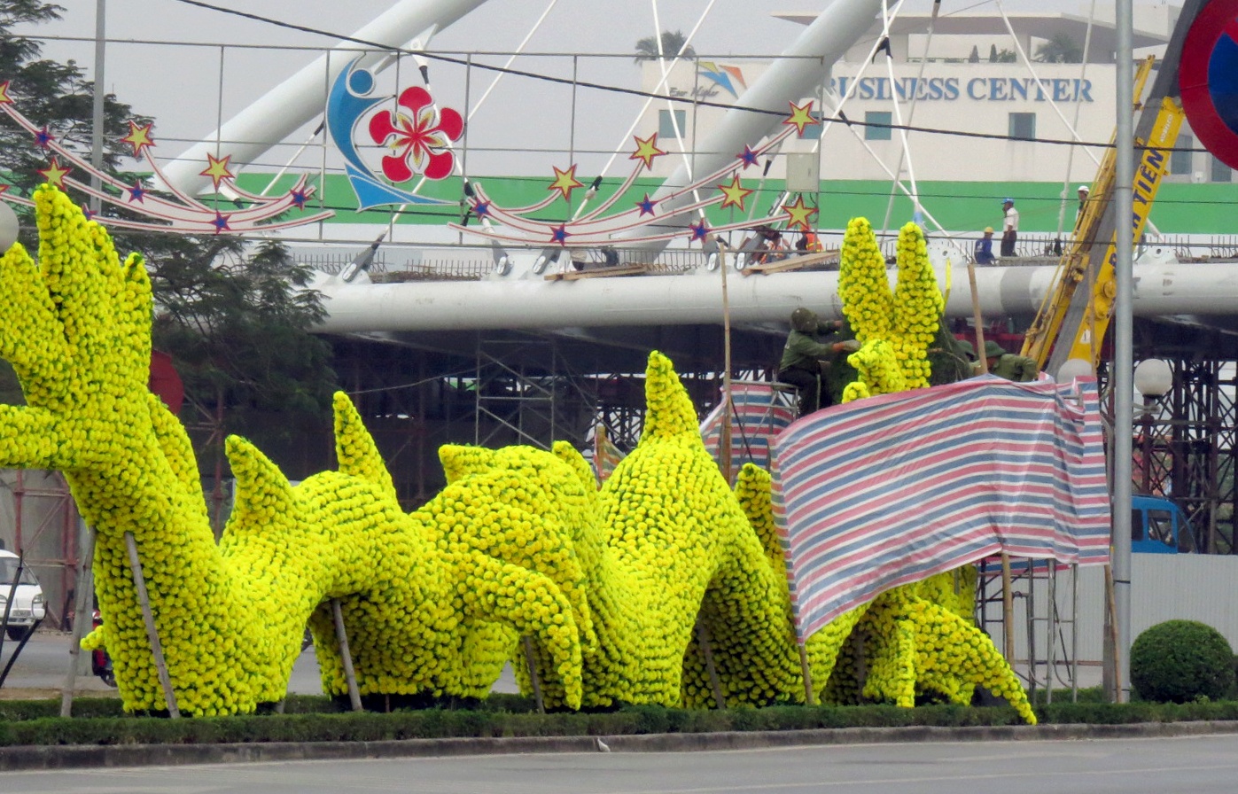 chinh sua dau rong Hai Phong anh 4