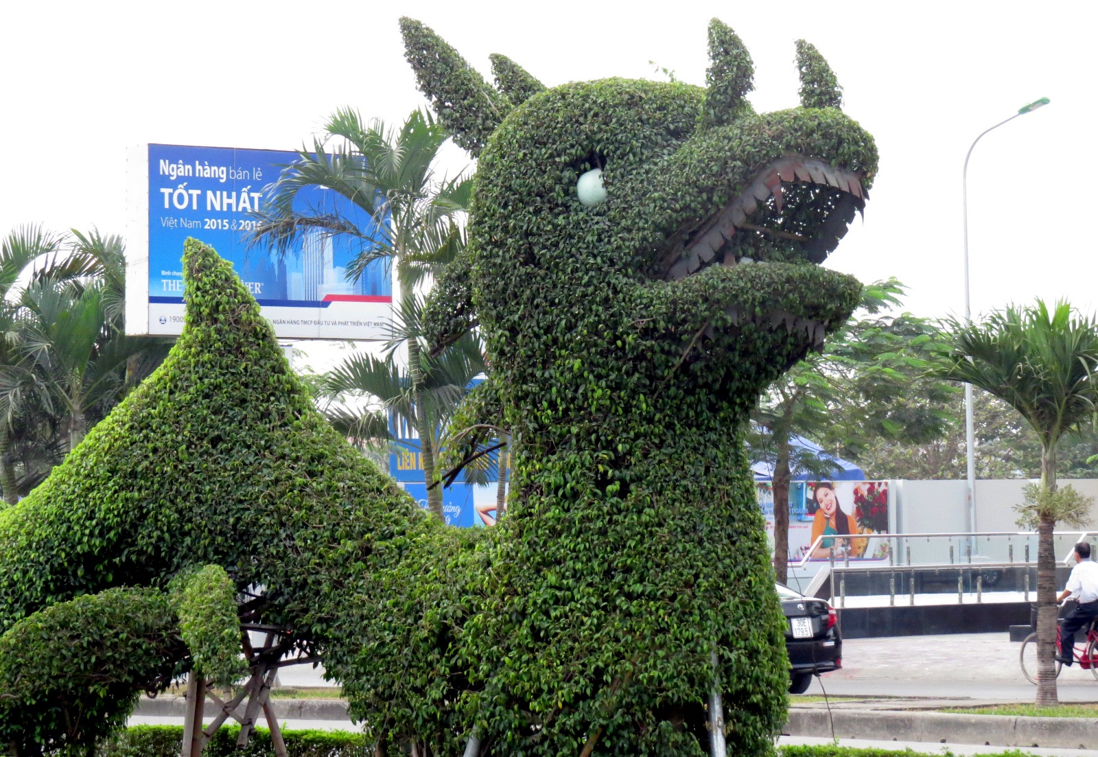 chinh sua dau rong Hai Phong anh 5