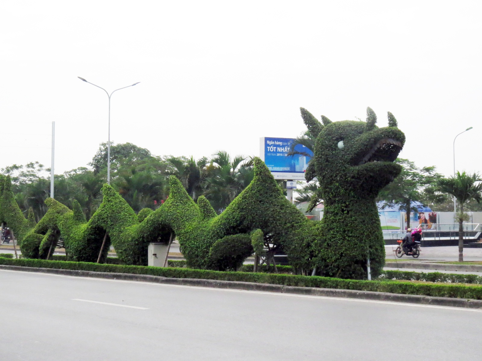 chinh sua dau rong Hai Phong anh 6