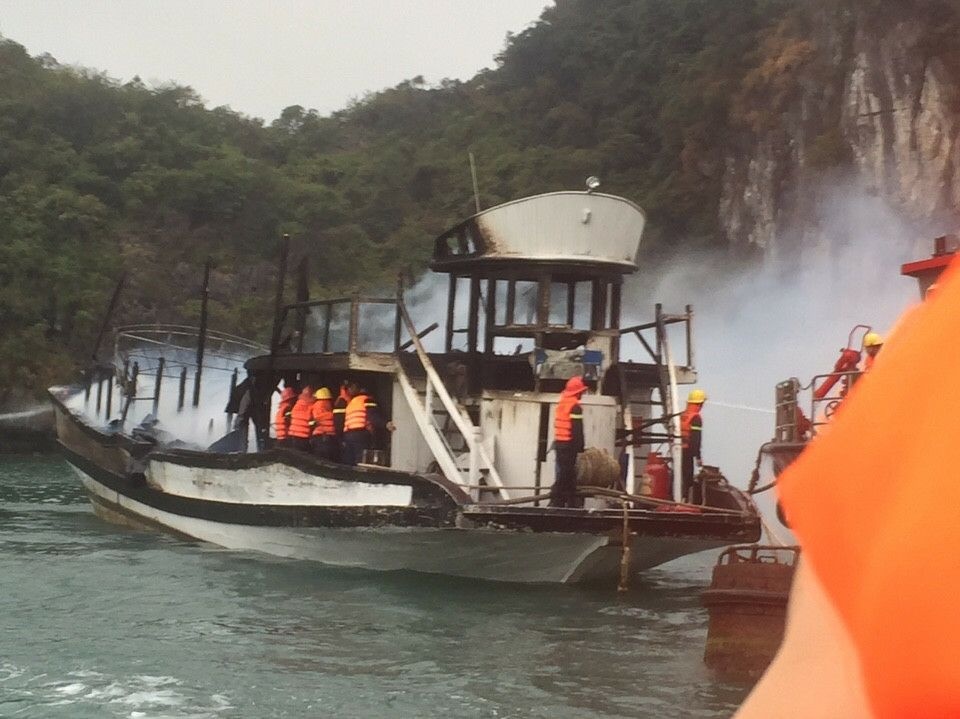 Dinh chi doi tau cua cong ty co tau chay tren vinh Ha Long hinh anh