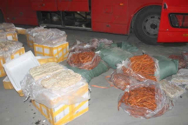 Nội tạng thối ảnh 1 Noi tang thoi anh 1