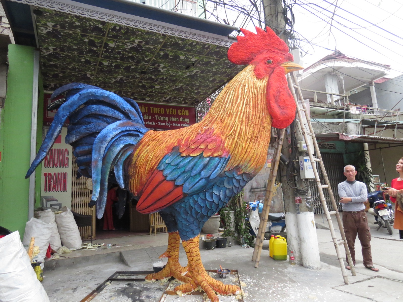 Mo hinh gia dinh ga khong lo o Hai Phong hinh anh