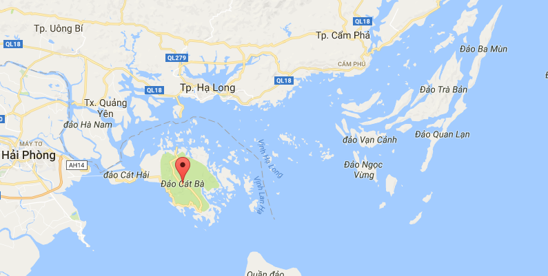 Dut day cap vuot bien anh 2