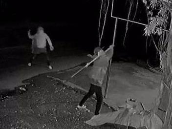 Dan keo den UBND huyen doi giai quyet tinh trang con do hoanh hanh hinh anh