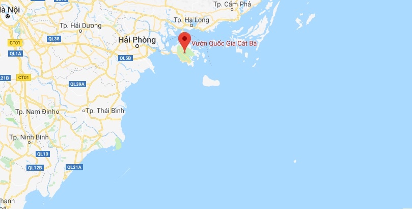 Cứu sống du khách Đức ảnh 2 Cuu song du khach Duc anh 2