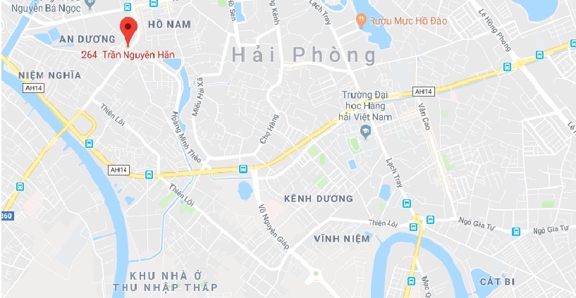 Trum ma tuy Thuy anh 2