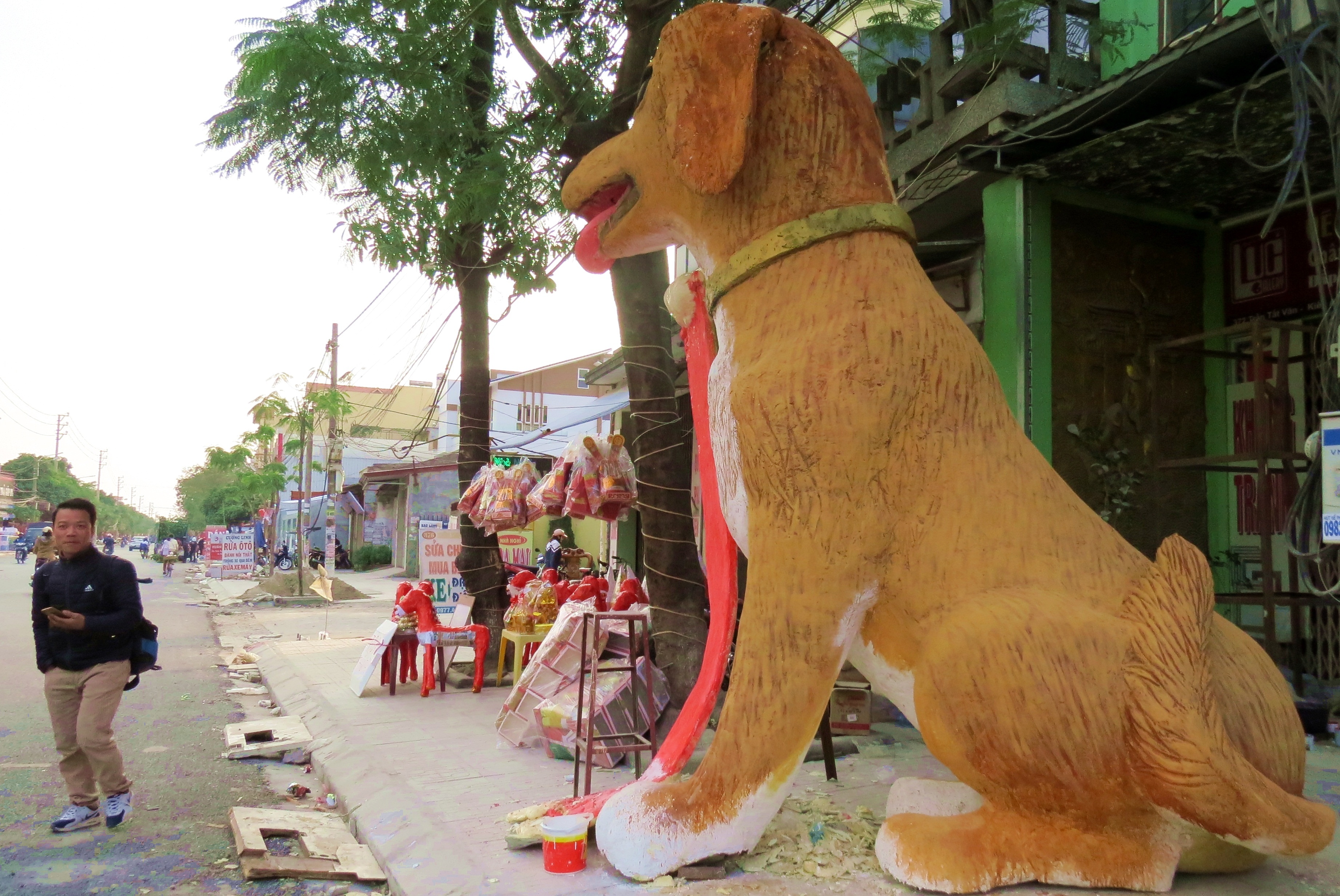 Cho vang sieu khung anh 2