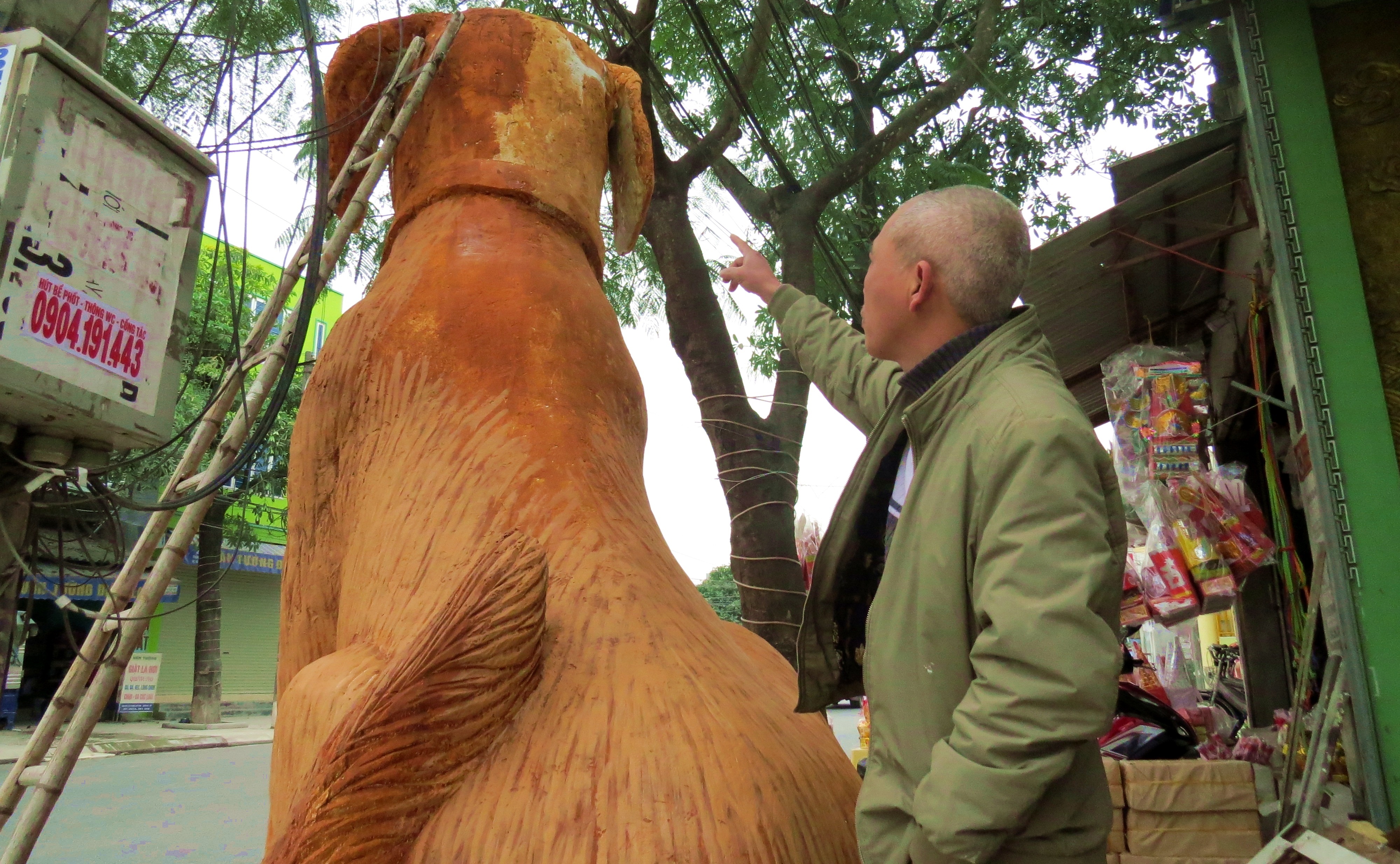 Cho vang sieu khung anh 6