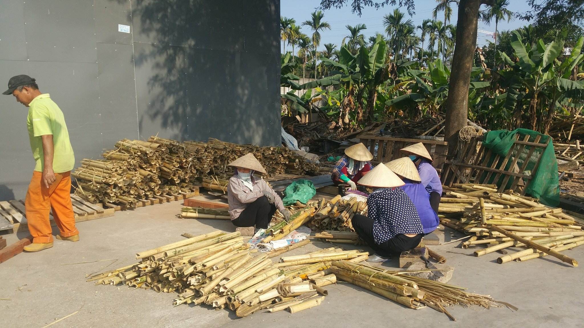 Vinaca ung thu CO3.2 bang tre nua anh 2