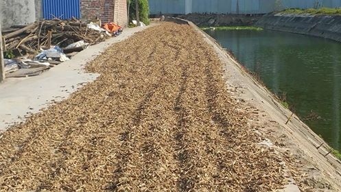 Vinaca ung thu CO3.2 bang tre nua anh 4