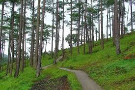 Phat hien bo xuong nguoi tren doi thong hinh anh