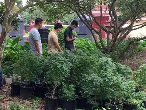 Hội Thánh Đức Chúa Trời ảnh 1 Hoi Thanh Duc Chua Troi anh 1