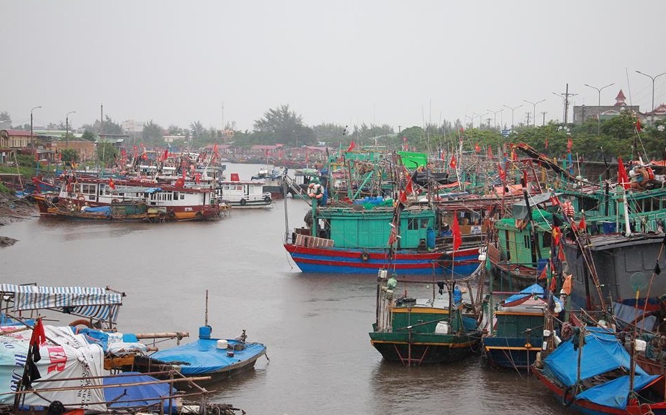 Tranh tru bao so 4 anh 1