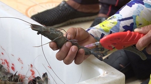 Tuon tom bom tap chat vao nha hang, khach san o Hai Phong hinh anh