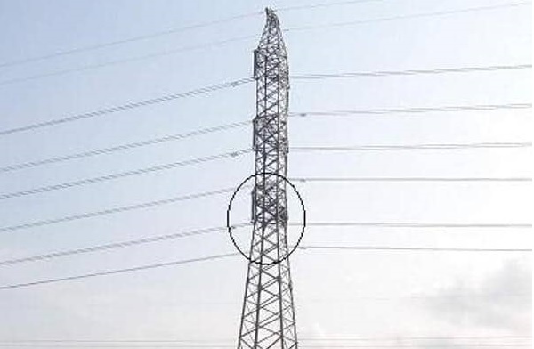 Ngáo đá trèo cột điện cao thế ảnh 1 Ngao da treo cot dien cao the anh 1